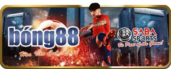 Đa dạng kèo cược đá gà